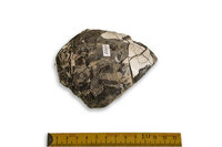 F 02267
<br/>
<br/>
<em></em>